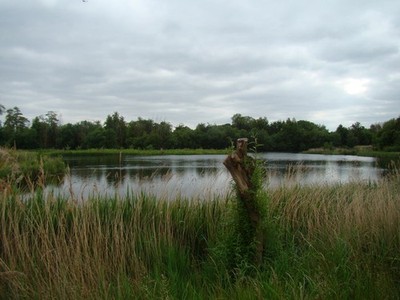 Foto A2 Blick auf einen See im London Wetland Centre #4 Barnes Look n c2013