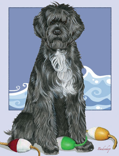 Portuguese Water Dog Birthday Card 5 x 7 with Envelope - Picture 1 of 1