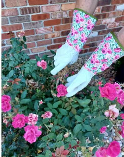 WOMEN Ladies LONG SLEEVE Garden hand GLOVES Leather rose pruning cactus one size - Afbeelding 2 van 3