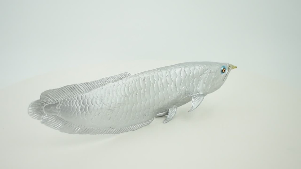 Silver Dragon Fish, Asian Arowana, Realistic Toy Figure, Model 6.5