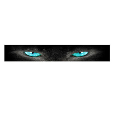 3D Sticker Blue Eye Shadow Decal Waterproof DIY Decoration For Car Rear Window