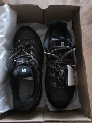 Salomon Leonis GTX | eBay