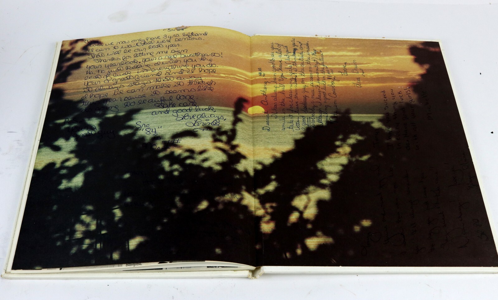 Vintage 1981 REGIT Keytesville MO Missouri Volume 29 Jr High School