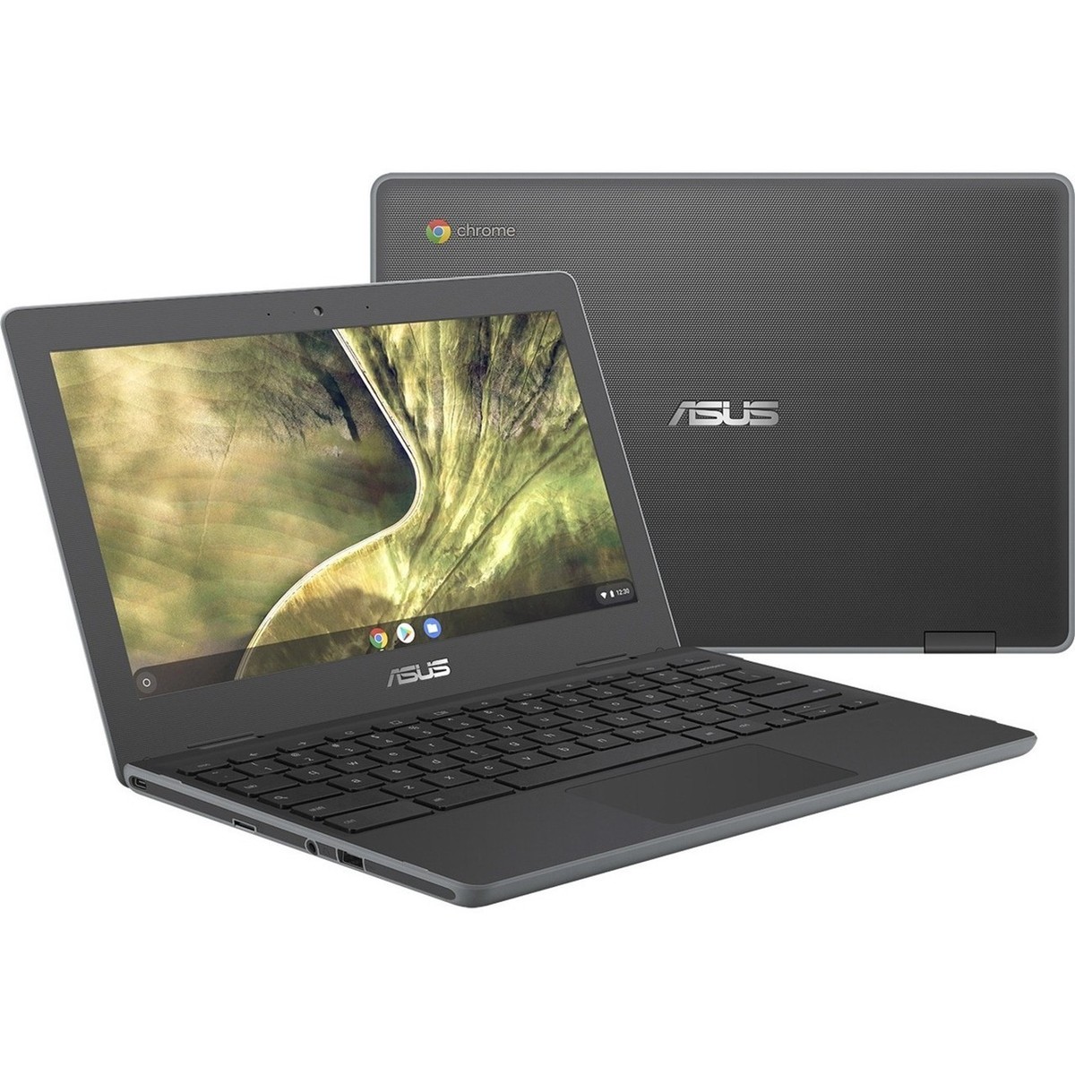 ASUS Chromebook C204EE 11.6