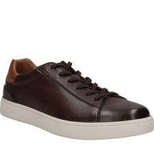 Salamander Trainers  Brown
