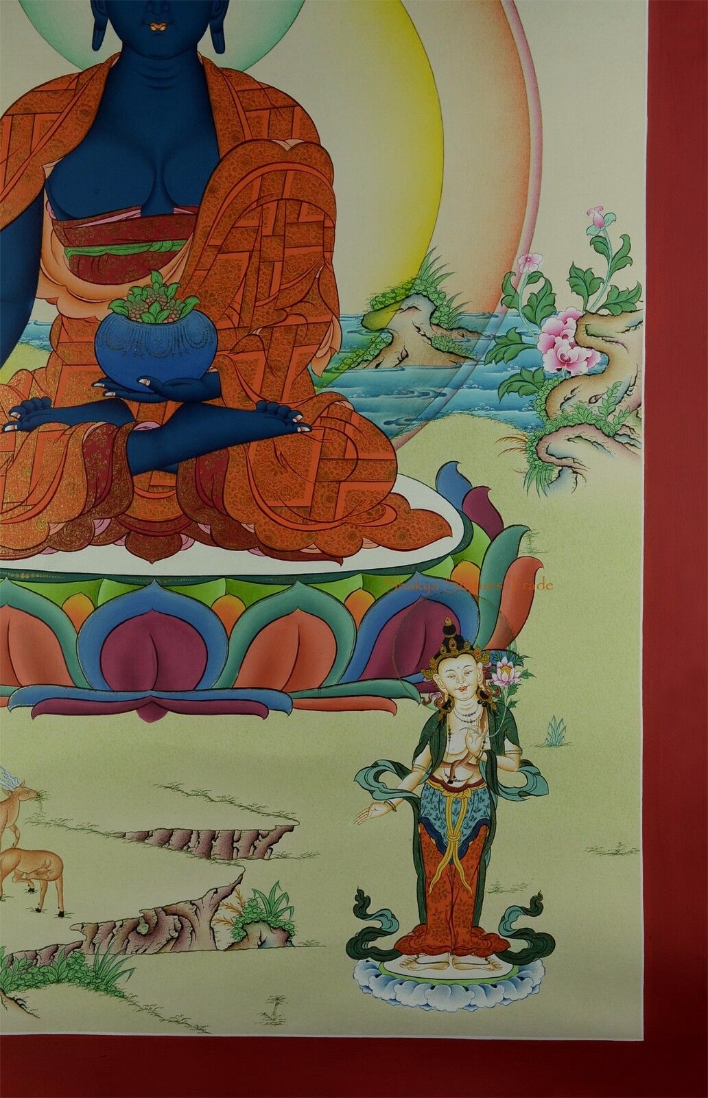 Picture 6 of 6