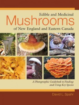 Edible and Medicinal Mushrooms of New England and Eastern Canada, Paperback b...