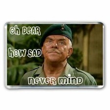 WINDSOR DAVIS: OH DEAR HOW SAD - NEVER MIND  - JUMBO FRIDGE MAGNET