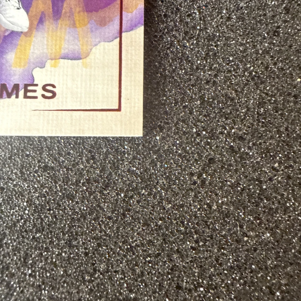 2024-25 Panini Court Kings - Water Color LeBron James #10 Ruby /149 - Image 4 of 4