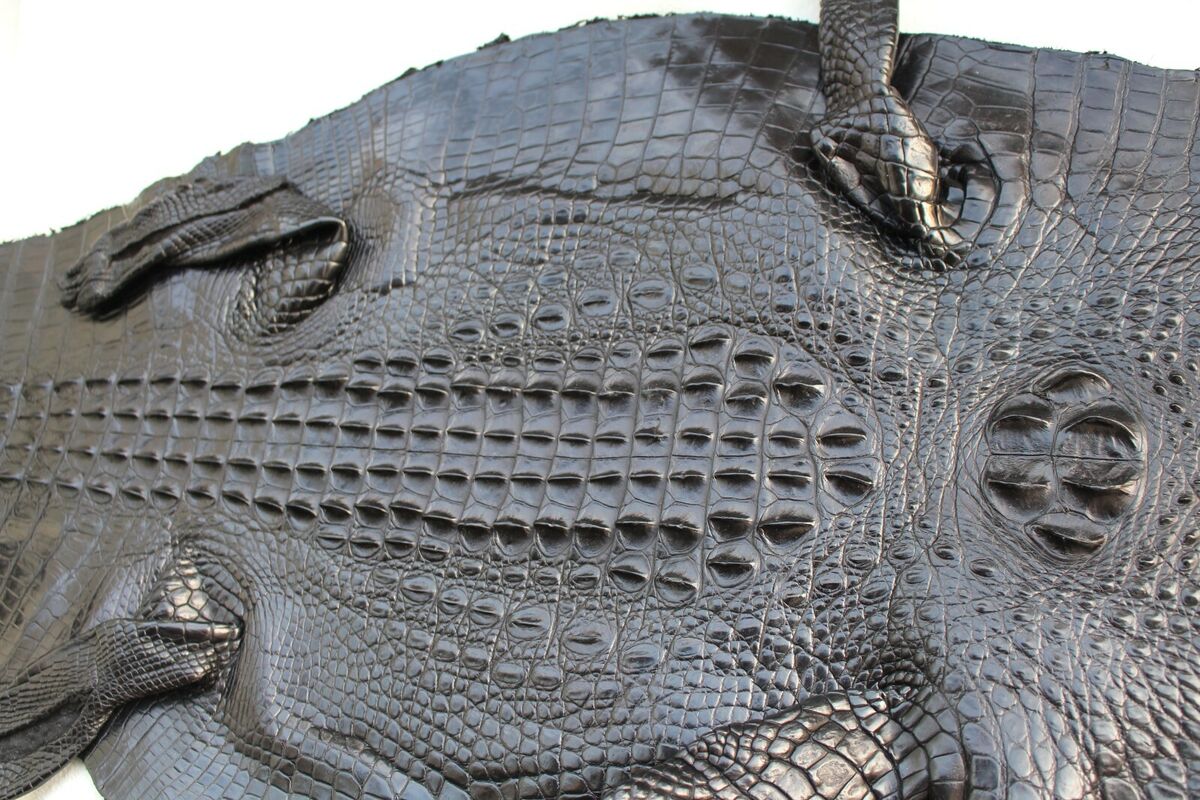 Genuine Crocodile, Alligator Skin Leather Hide Exotic Pelt Black