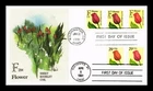 DR JIM STAMPS US COVER TULIP FLOWER FDC COMBO DUAL CANCEL EDKEN CACHET