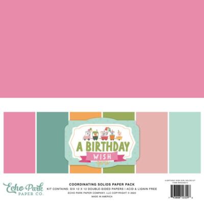 Echo Park- Coordinating Solids Paper 12x12'' - ''A Birthday Wish Girl'' - Cardstock
