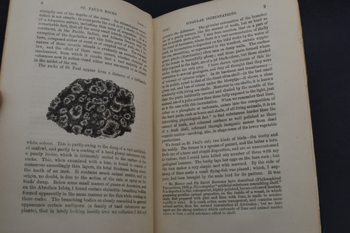 1890 A Naturalists Voyage...HMS Beagle Around the World by Charles Darwin - Picture 11 of 18