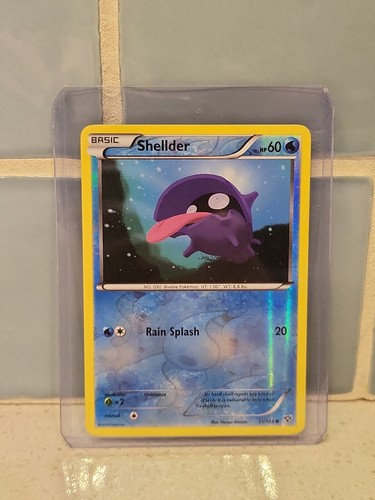 Shellder Pokemon TCG 💧 Reverse Holo Foil 💧 Card XY 31/146 ●BUY IT NOW● LOOK ● - Picture 3 of 8