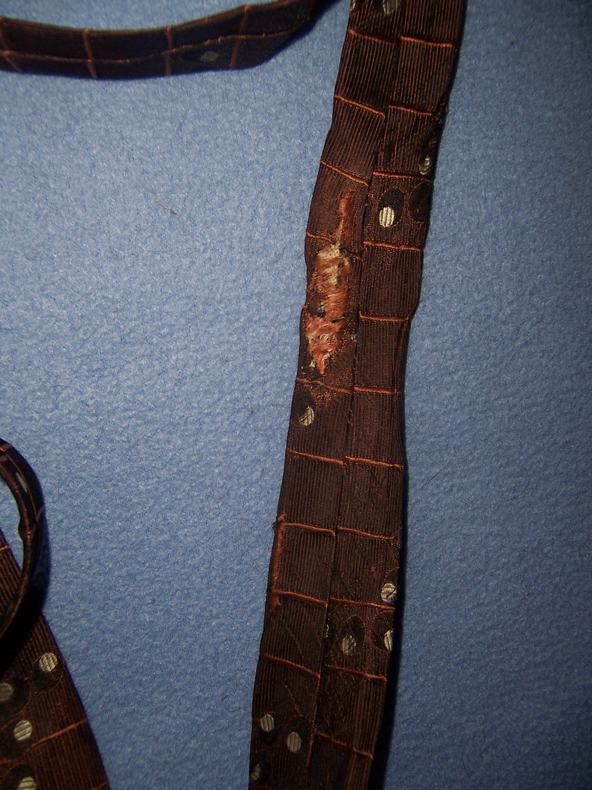 Picture 4 of 4