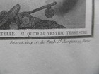 Imagen 8 de 16