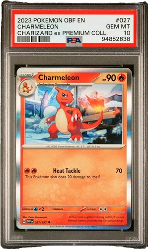 pokemon pet card Custom PKM Card