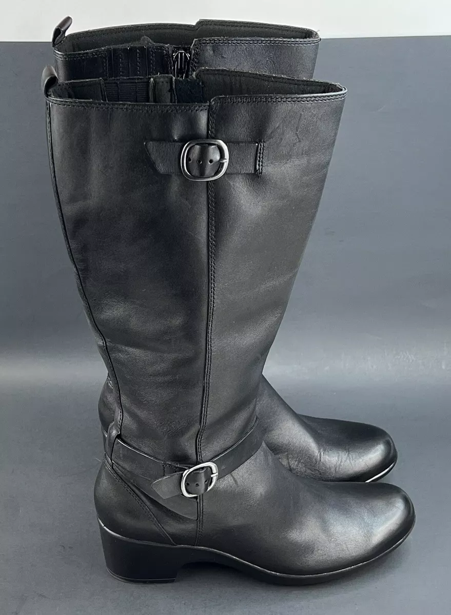 Clarks malia sales poplar