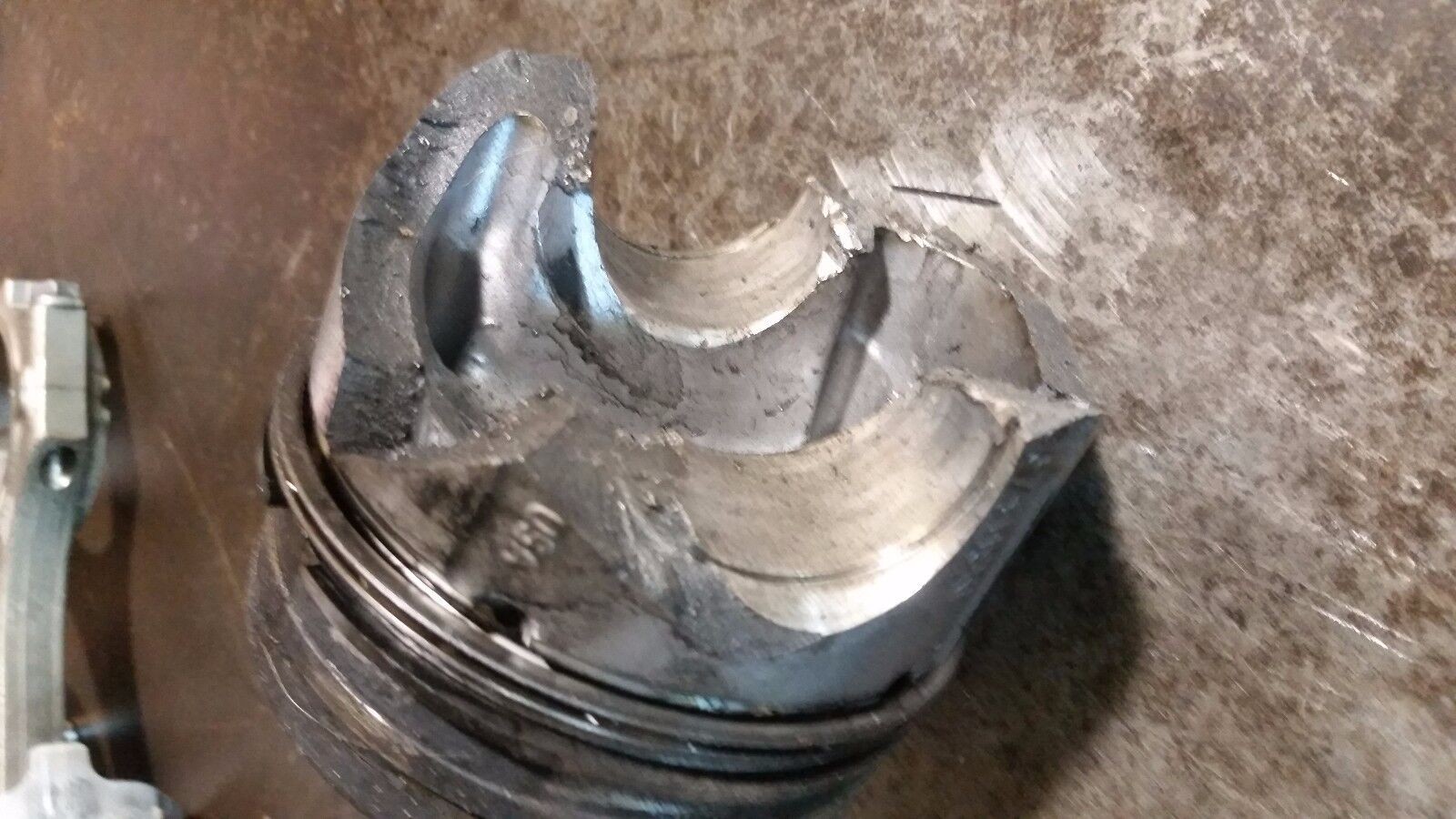 Picture 4
