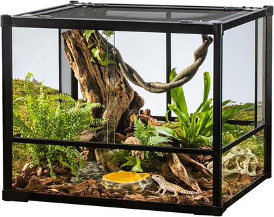 35 Gallon Glass Reptile Terrarium, 23'' X 18'' X 19'' Reptile Habitat Tank Front Op