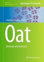 Sebastian Gasparis | Oat | Buch | Englisch (2017) | Methods And Protocols | X