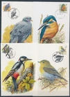 XE59654 Belgium 2000 -2005 Buzin birds maxicards used