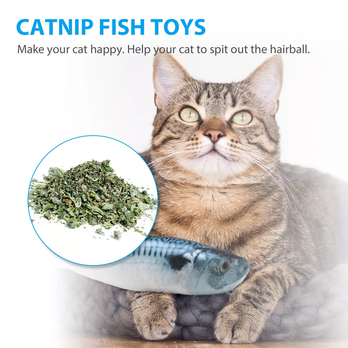 Cat chewing hot sale food spitting out