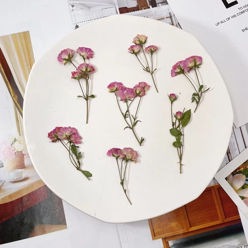 Dried Pressed Flowers Natural Epoxy Resin Candle Nail Art Scrapbooking Craft AU - Picture 129 of 210