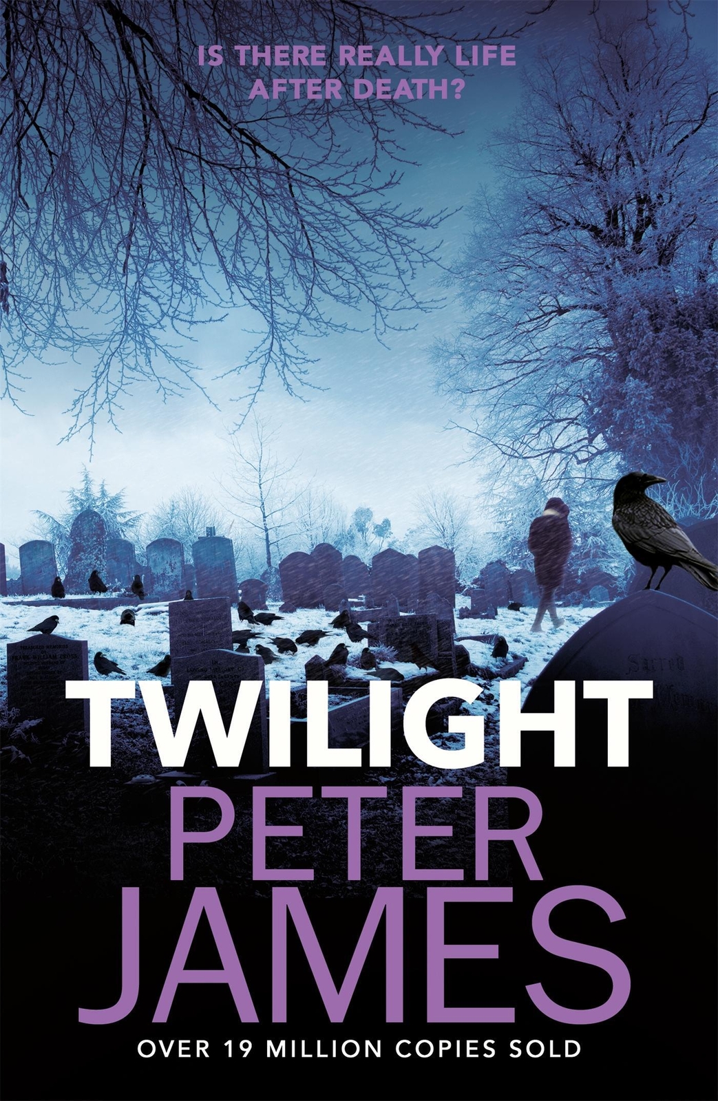 Thumbnail - Twilight | Peter James | Englisch | Taschenbuch | Kartoniert /