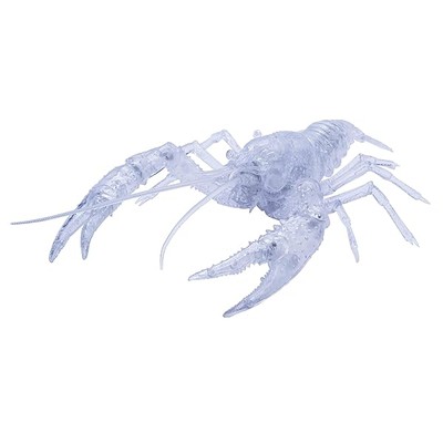 Fujimi Model Free Research Series No.24 EX-3 Creature Edition American Crayf JP