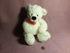 oso blanco peluche