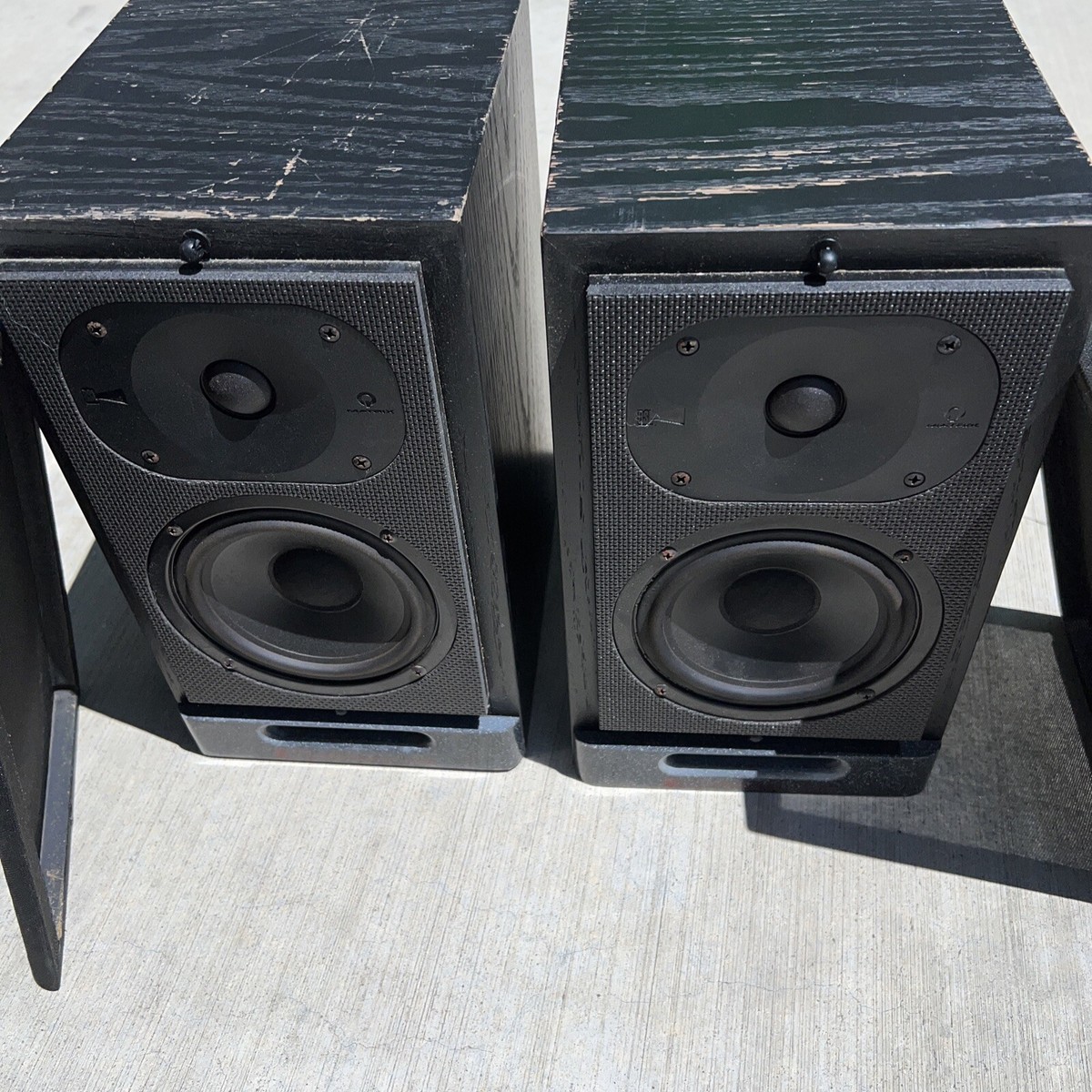 RSL CG-5 speakers Bookshelf Roger Sound Labs Vintage Rare Worn