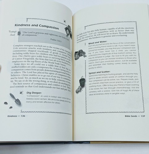Bible Seeds: For Enriching Your Character A Simple Study-Devotional For Women - Picture 4 of 5