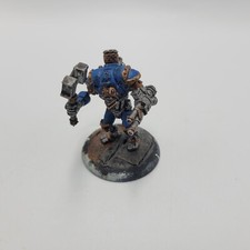 Charger (metal) [x1] Cygnar [Warmachine] Painted