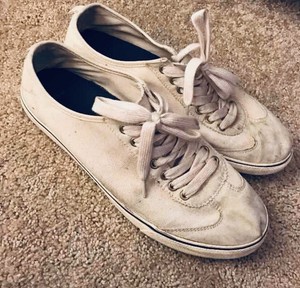 gap canvas shoes