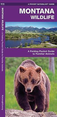 Montana Wildlife by Kavanagh, James; Waterford Press