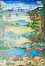 TY BEANIE BABIES OFFICIAL CLUB 50 X 32 POSTER