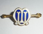 DE COLECCIÓN INSIGNIA BROCHE PINGLETE INSIGNIA INGLESA ASOCIACIÓN DE MADRES AÑOS 80