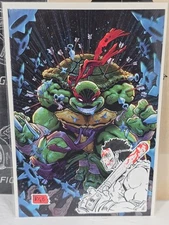 TEENAGE MUTANT NINJA TURTLES #1 (2024)- RYAN G BROWNE EXCLUSIVE Signed Remarked
