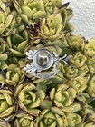 VINTAGE SALZBURG GERMANY SOUVENIR PIN BROOCH Hat Oak Leafs Acorns￼ — photo 5