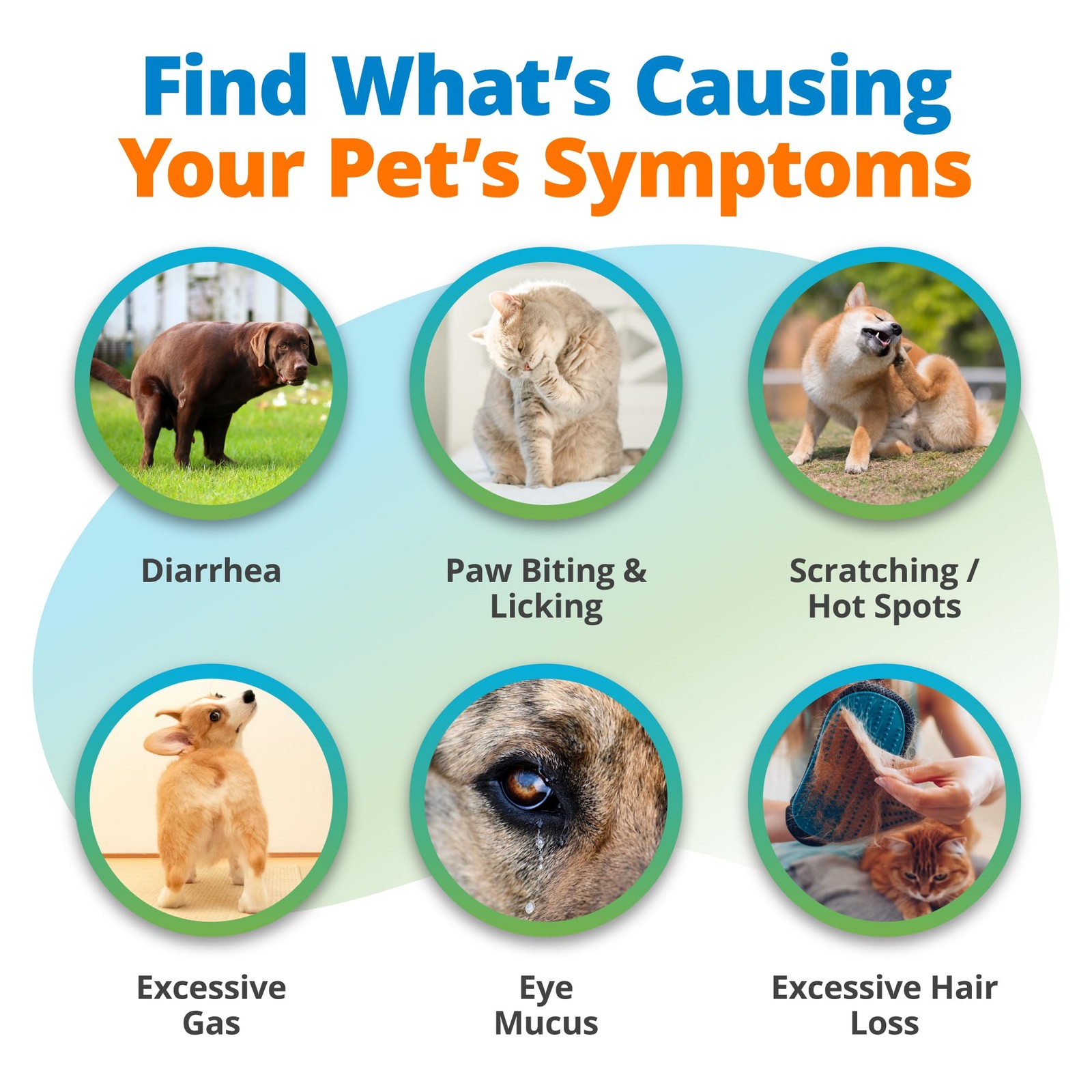 Pet Food Intolerance Test, at Home Sensitivity Test for Dogs & Cats, 575 Item...