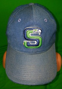 nike seahawks hat
