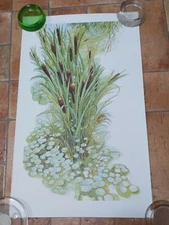 Set Four Seasons Prints Delfino Summer Spring Fall Winter MidCentury ART NOUVEAU