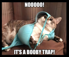 NO! IT'S A BOOBY TRAP! cat kitten pet play snag stuck Refrigerator Fridge MAGNET