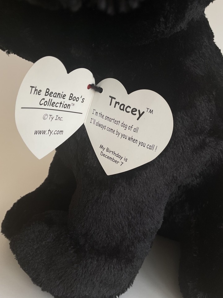 TY Large 17” Black/White "Tracey" Dog Puppy Big Blue Glitter Eyes