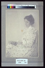 Miss Elizabeth Alice Austin,photographer,artist,flowered dress,A Gleason,1900