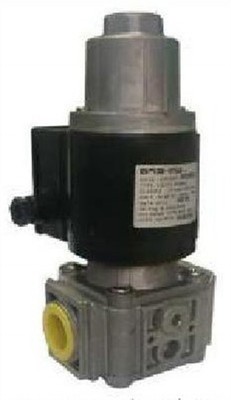 1Pc New Brahma EG12*SR*GMO nc