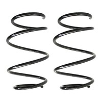 Fahrwerksfedern-Set Vorderachse Schraubenfeder Ø171Mm Spidan FüR U.A. BMW Z4