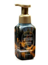 NEW 1 BATH  BODY WORKS MOUNTAIN TEAKWOOD GENTLE FOAMING HAND SOAP WASH 8.75 OZ