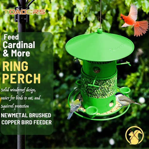 Wild Bird Feeder Feeders Outdoors Lovers Large Capacity Design Cardinal Green - Imagen 3 de 6